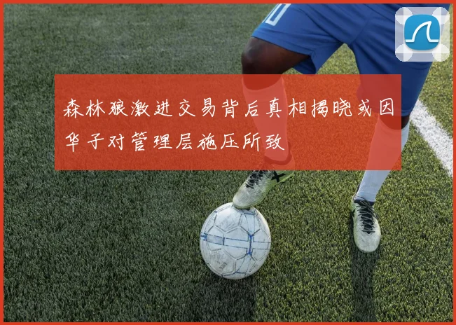 森林狼激进交易背后真相揭晓或因华子对管理层施压所致
